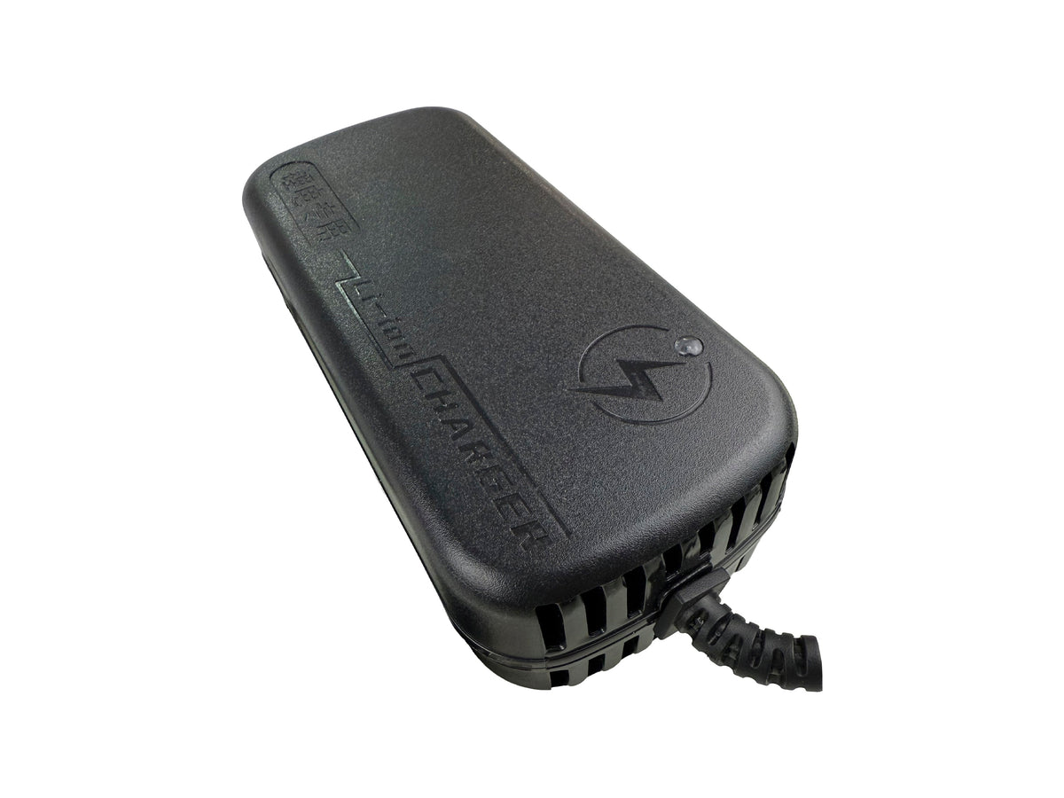 Cargador para Moto Eléctrica 48V 2A 124W