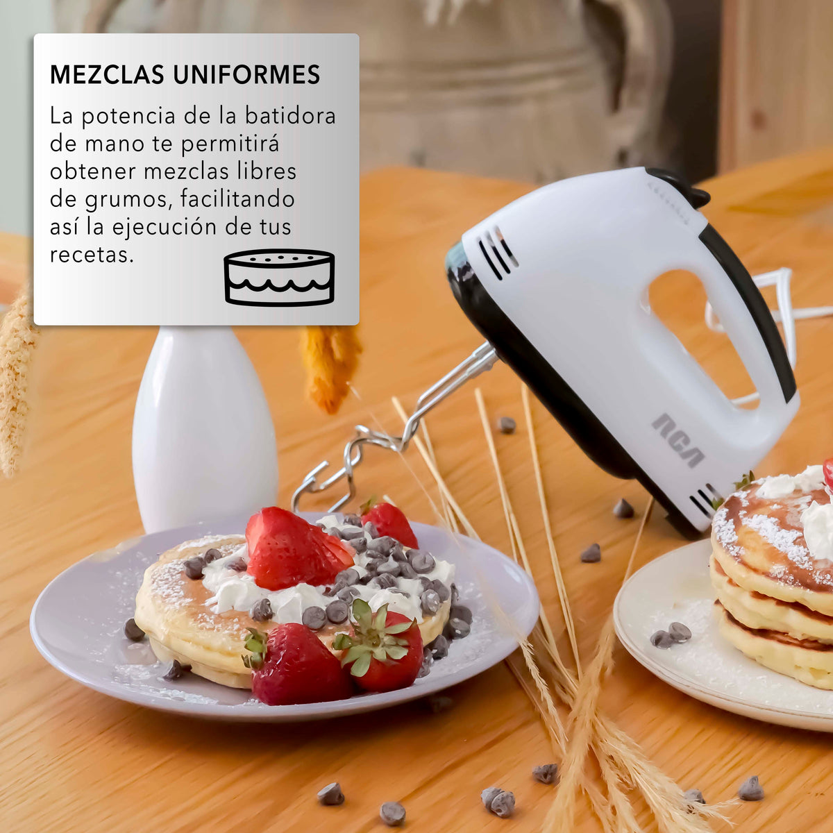 Batidora de Mano RC-093