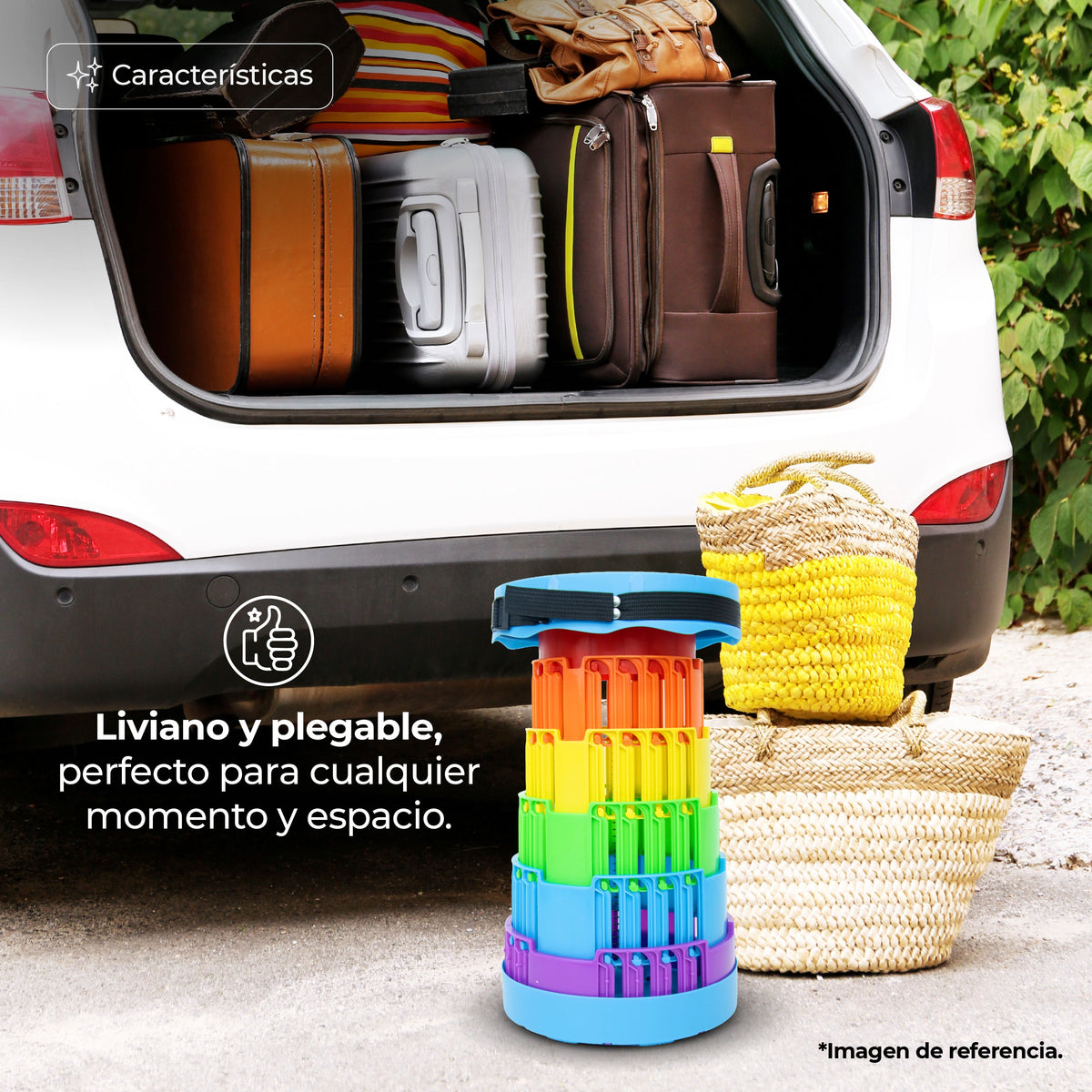 Silla Telescópica Multicolor - Multicolor
